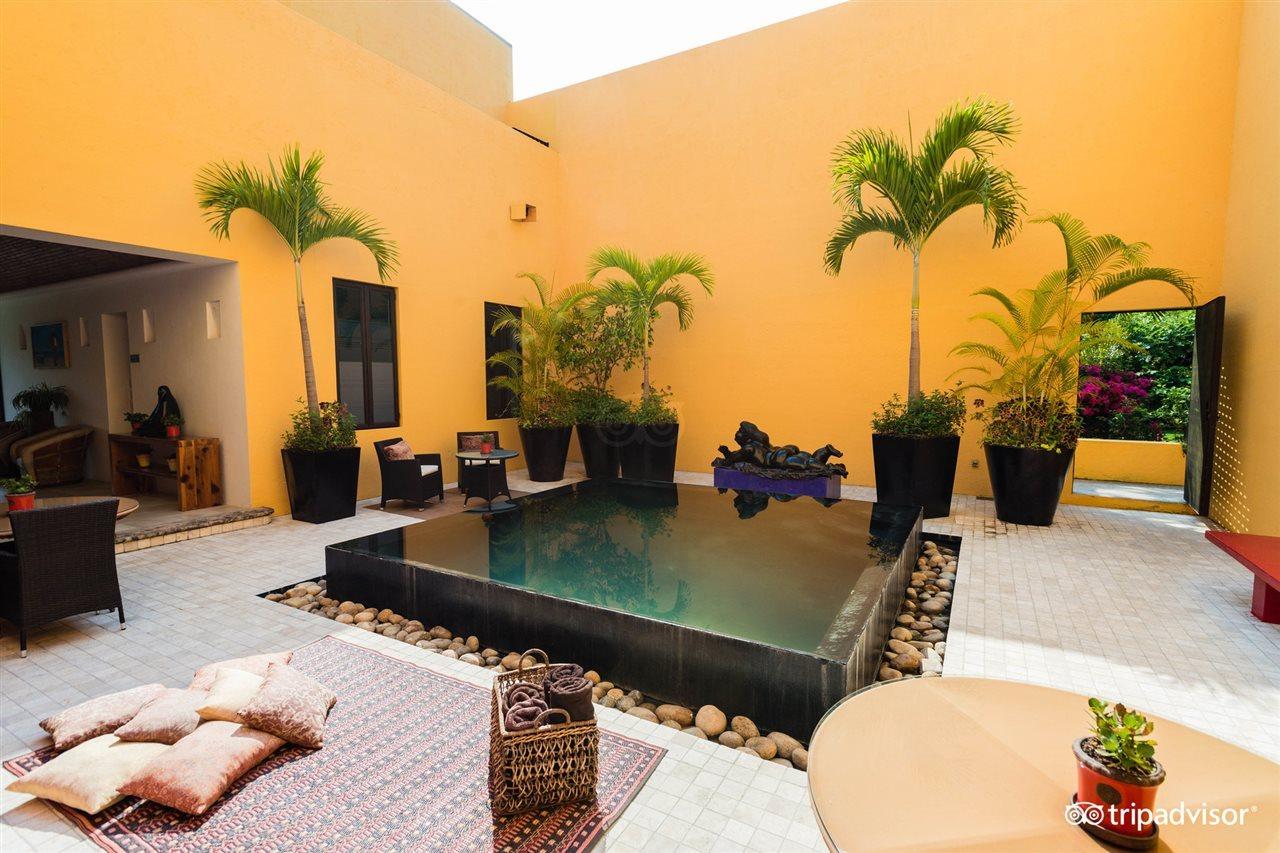 Villa Azalea Inn & Organic Farm JALISCO Eksteriør billede