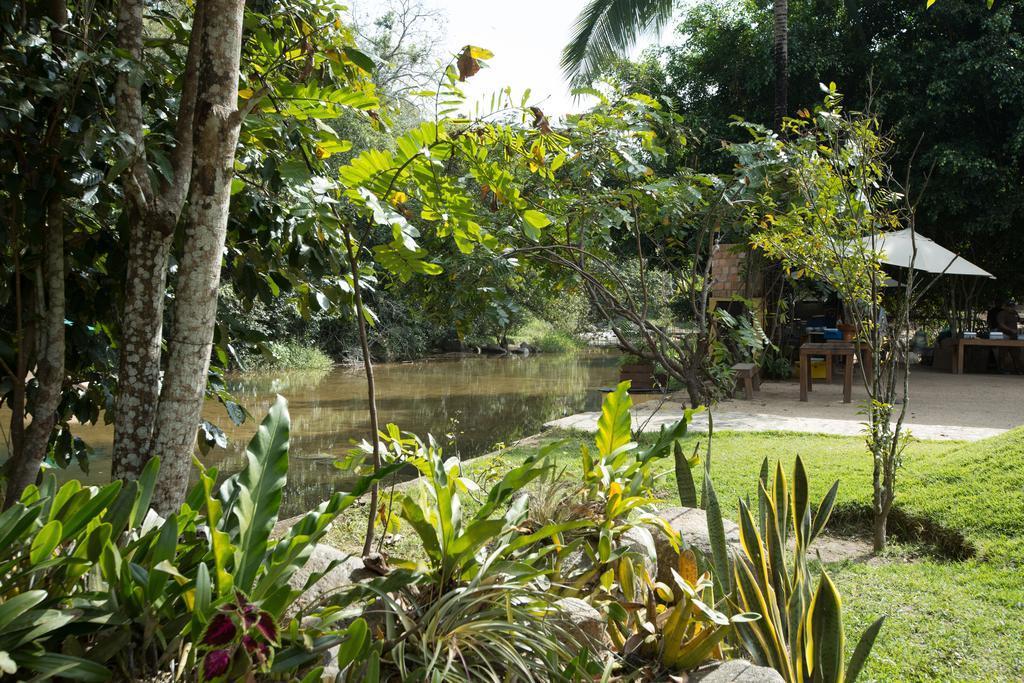 Villa Azalea Inn & Organic Farm JALISCO Eksteriør billede