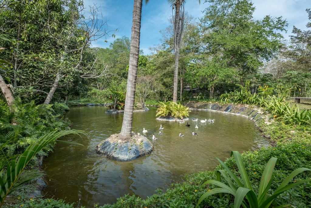 Villa Azalea Inn & Organic Farm JALISCO Eksteriør billede