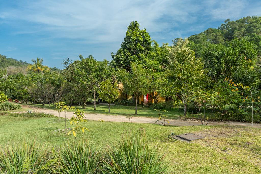 Villa Azalea Inn & Organic Farm JALISCO Eksteriør billede