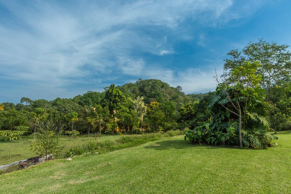 Villa Azalea Inn & Organic Farm JALISCO Eksteriør billede