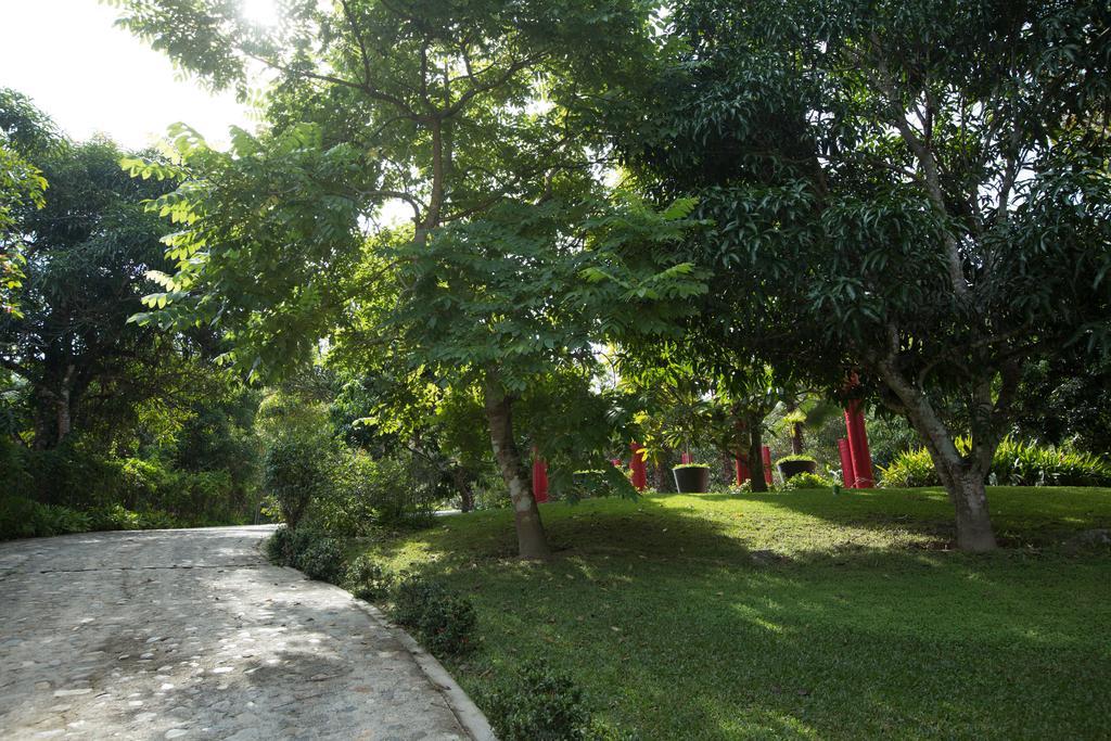 Villa Azalea Inn & Organic Farm JALISCO Eksteriør billede