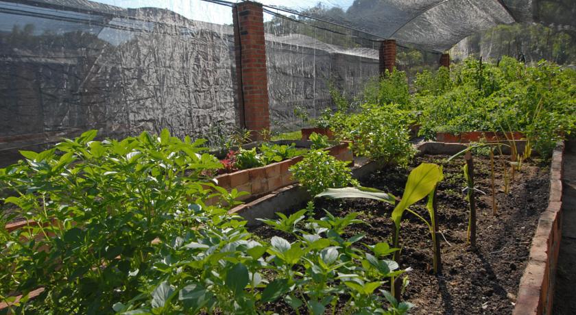 Villa Azalea Inn & Organic Farm JALISCO Eksteriør billede