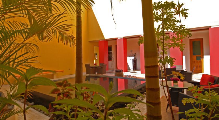 Villa Azalea Inn & Organic Farm JALISCO Eksteriør billede